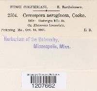 Image Associated With the Occurrence