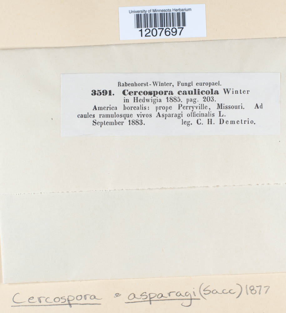 Cercospora asparagi image