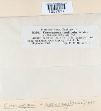 Image Associated With the Occurrence