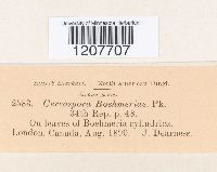 Image Associated With the Occurrence