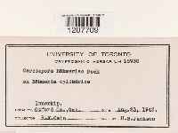 Image Associated With the Occurrence