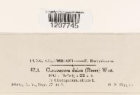 Image Associated With the Occurrence