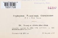 Image Associated With the Occurrence