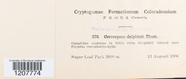 Cercospora delphinii image