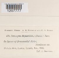 Image Associated With the Occurrence