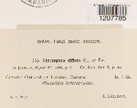 Image Associated With the Occurrence