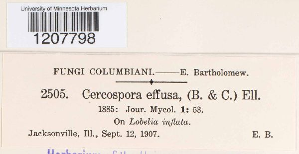 Passalora effusa image