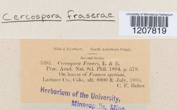 Cercospora fraserae image