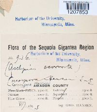 Image Associated With the Occurrence