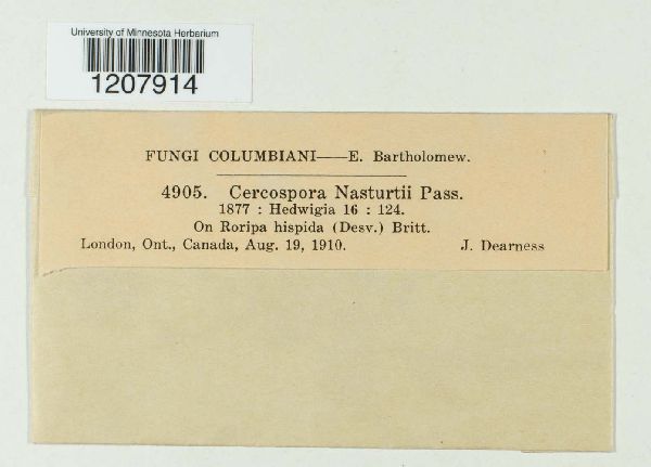 Cercospora nasturtii image