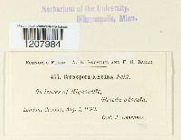 Image Associated With the Occurrence