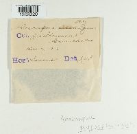 Image Associated With the Occurrence