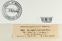 Image Associated With the Occurrence