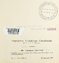 Image Associated With the Occurrence