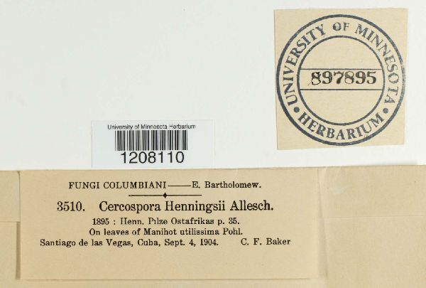 Mycosphaerella henningsii image