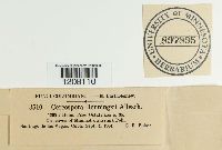 Image Associated With the Occurrence