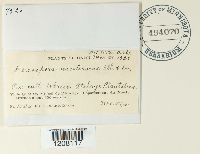 Image Associated With the Occurrence