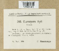 Image Associated With the Occurrence