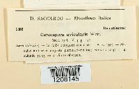 Image Associated With the Occurrence