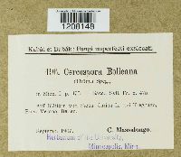 Image Associated With the Occurrence