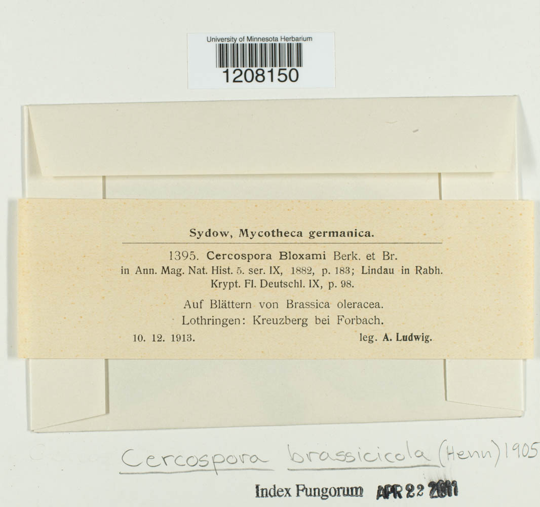 Cercospora bloxami image