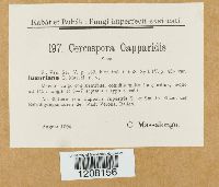 Image Associated With the Occurrence