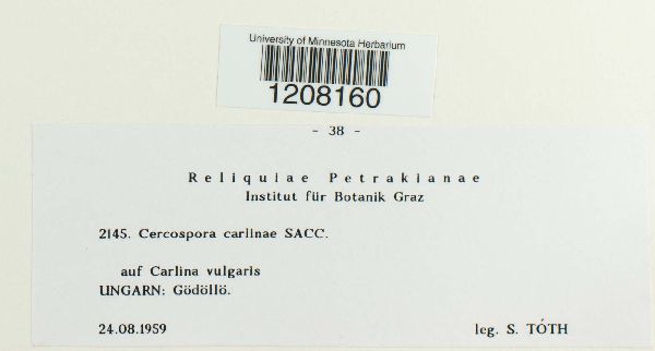 Passalora carlinae image