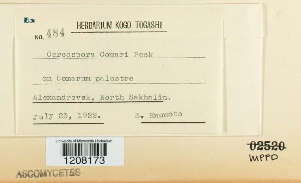 Cercospora comari image