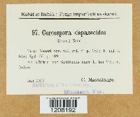 Image Associated With the Occurrence