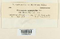 Image Associated With the Occurrence