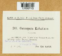 Image Associated With the Occurrence