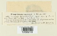 Image Associated With the Occurrence