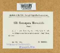 Image Associated With the Occurrence