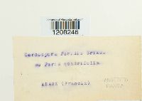 Image Associated With the Occurrence