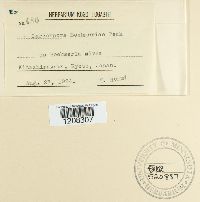 Image Associated With the Occurrence