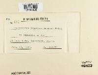 Image Associated With the Occurrence