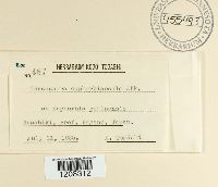 Image Associated With the Occurrence