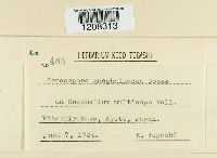 Image Associated With the Occurrence