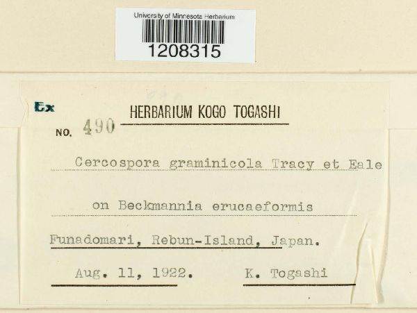 Cercospora graminicola image