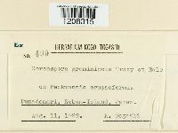 Image Associated With the Occurrence