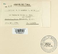 Image Associated With the Occurrence