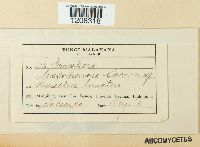 Image Associated With the Occurrence