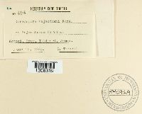 Image Associated With the Occurrence