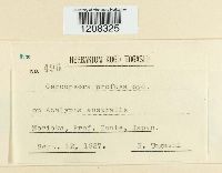 Image Associated With the Occurrence