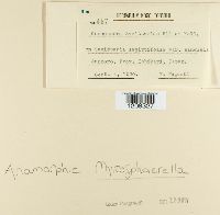 Image Associated With the Occurrence