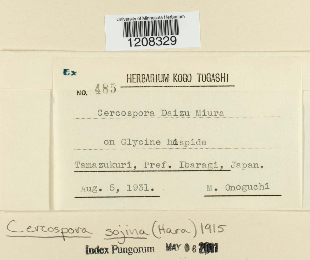 Cercospora sojina image