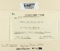 Image Associated With the Occurrence