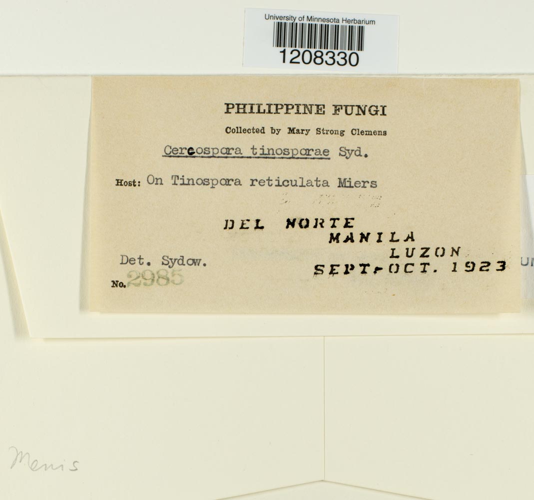 Cercospora tinosporae image