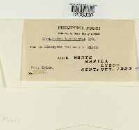 Image Associated With the Occurrence