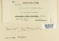 Image Associated With the Occurrence